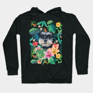 Tropical Miniature Schnauzer Hoodie